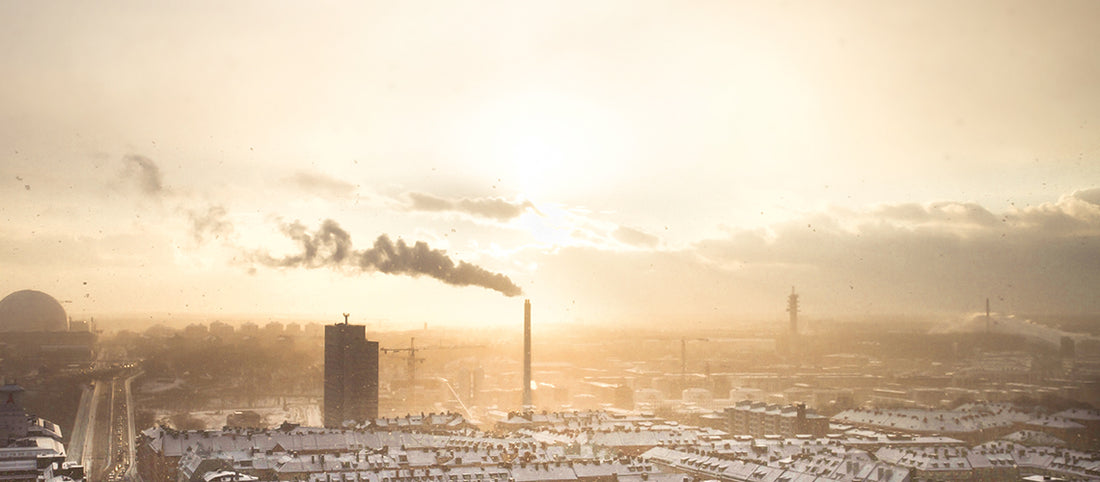 Reduce Your Carbon Footprint With These 6 Eco-Friendly Brands