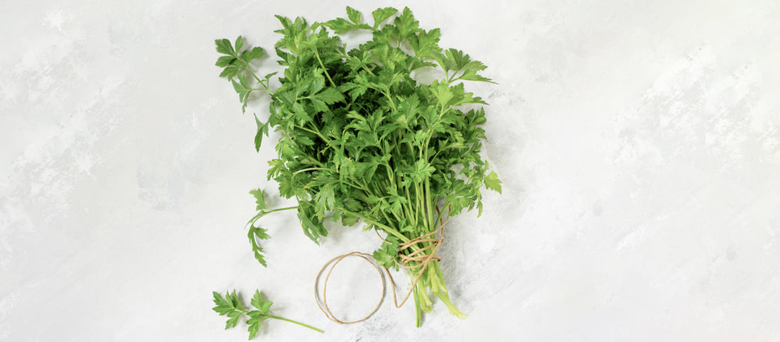 The Benefits of Parsley Seed Oil for Skin