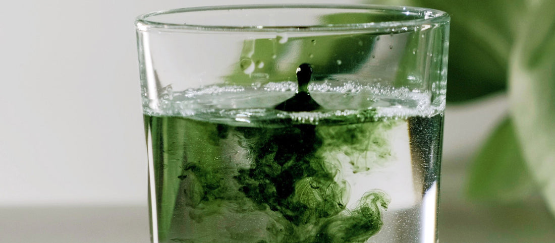 Liquid Chlorophyll