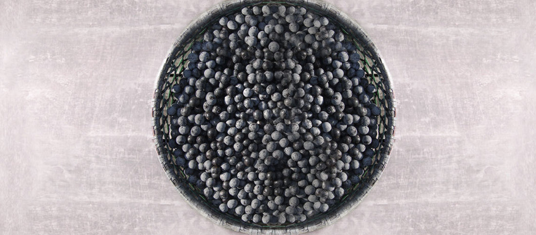 What Are The Real Health Benefits Of Acai?