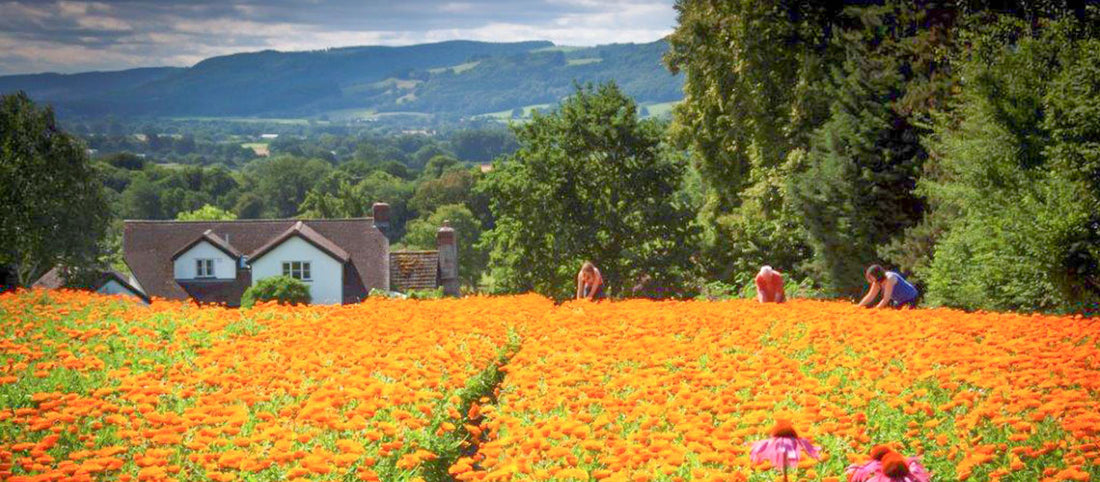 Why is Farm-To-Face So Beneficial?